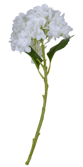 Hortensia 88cm hvit 3