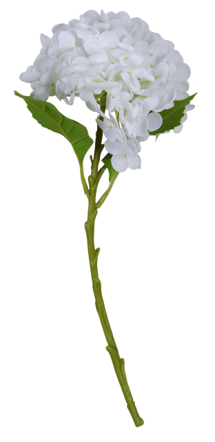 Hortensia 88cm hvit 2
