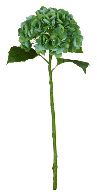 Hortensia 88cm grønn 2