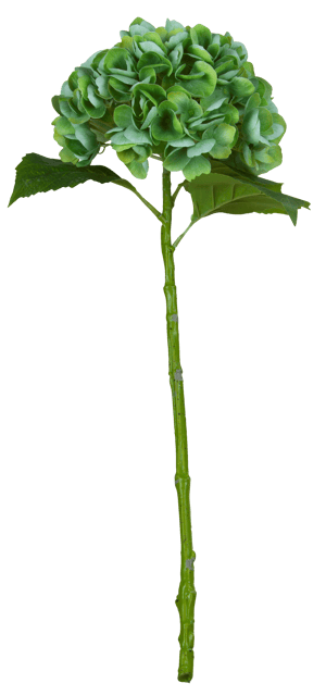 Hortensia 88cm grønn 3