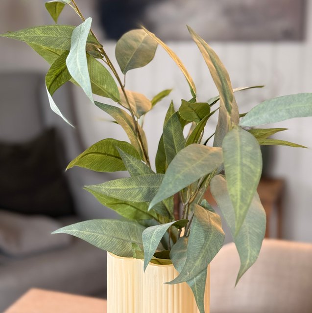 Eucalyptus 99cm 2
