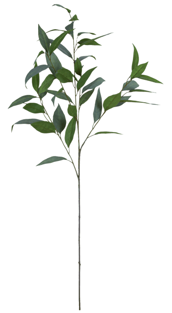 Eucalyptus 99cm 3