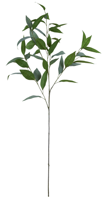 Eucalyptus 99cm 4
