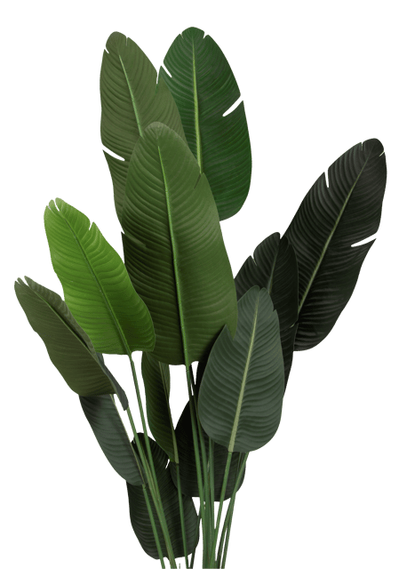 Banantre innendørs 208cm 4