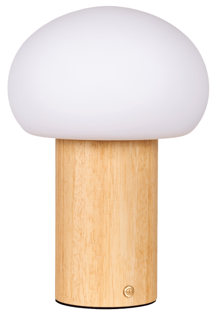 Nara LED oppladbar bordlampe 26cm natur 4
