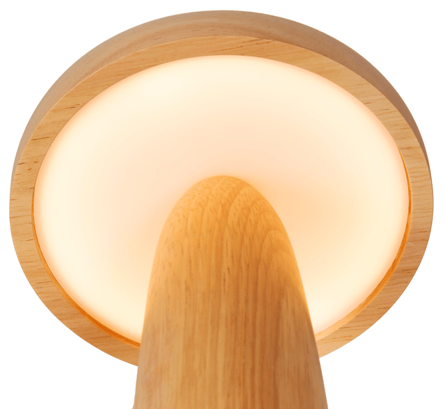 Vara LED oppladbar bordlampe 26cm natur 4