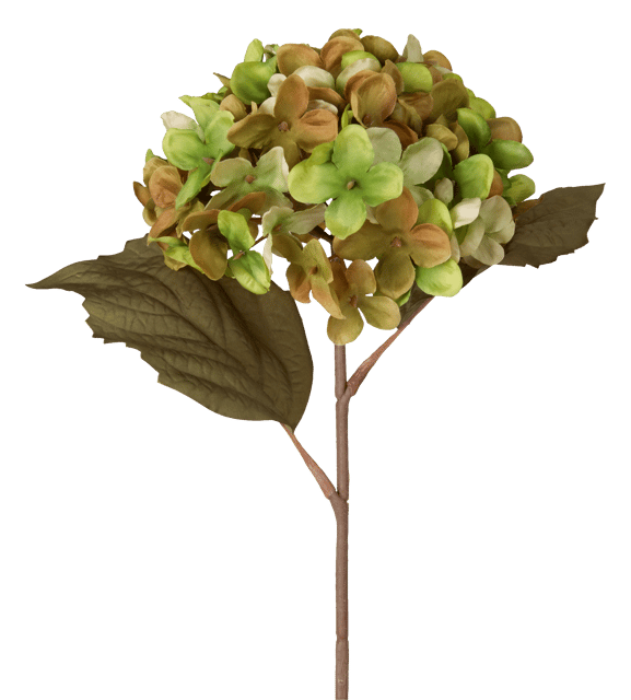 Hortensia grønn/brun 43cm 3