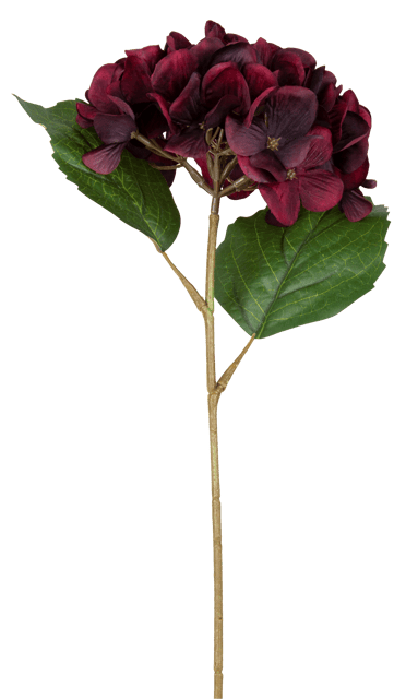 Hortensia dyp rød 43cm 4