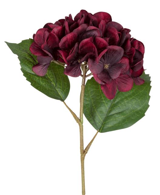 Hortensia dyp rød 43cm 3