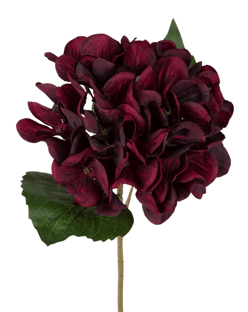 Hortensia dyp rød 43cm 2