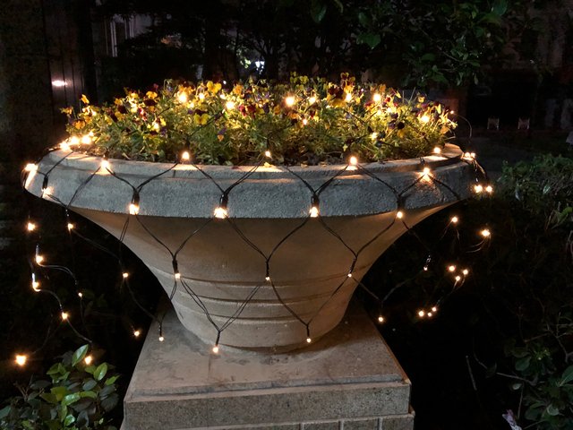 Lyskjede LED nett klar 3x4m 2