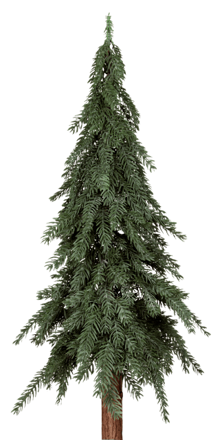 Evergreen tre 120cm, bilde 3 av 6