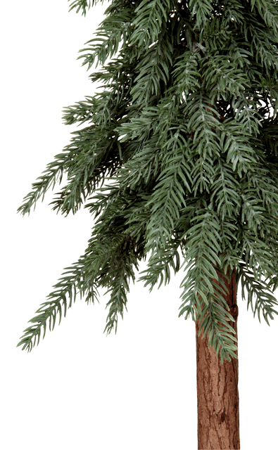 Evergreen tre 120cm, bilde 4 av 6