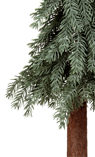 Evergreen tre 90cm, bilde 4 av 6