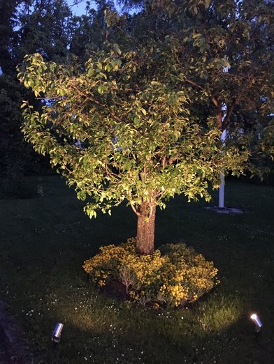 Luna LED utelampe spot IP65 stål, bilde 4 av 6