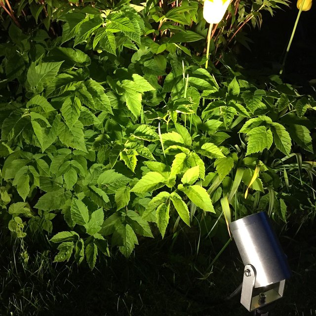 Luna LED utelampe spot IP65 stål, bilde 2 av 6