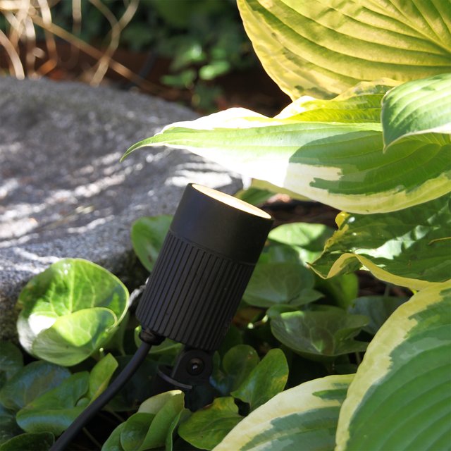 Medusa LED utelampe spot IP67 sort 1