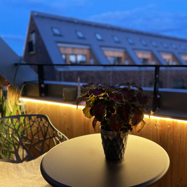Strip LED IP65 utelampe 5m klar 4