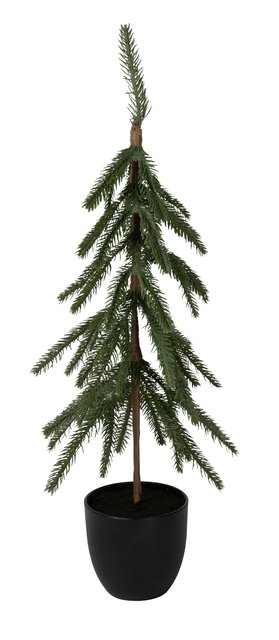 Grantre i potte 65cm grønn 2