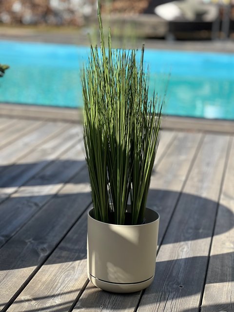 Oleander blomsterpotte 15cm grå 2