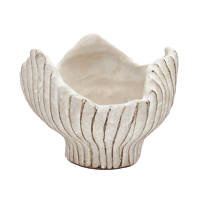 Saguaro skål 19cm beige 4
