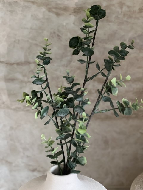 Eucalyptus stilk 66cm grønn 3